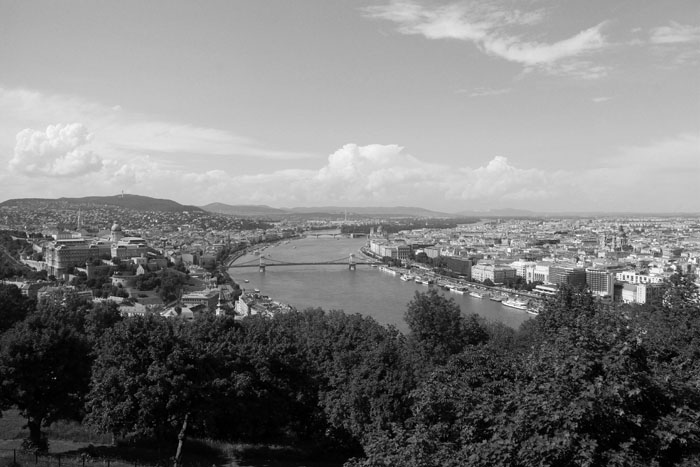 IMG_0285